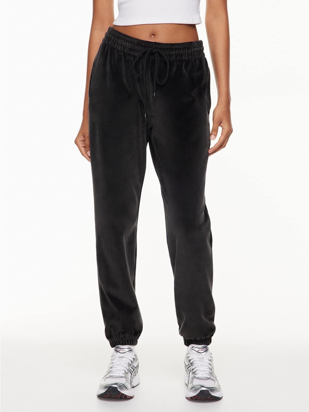 TNA Aritzia Montcalm Velour Jogger